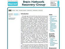 Tablet Screenshot of brainnrg.org